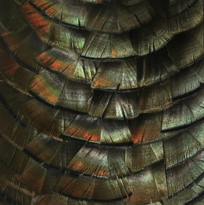 Tableau -1 – Image 2