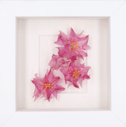 Tableau – Image 2