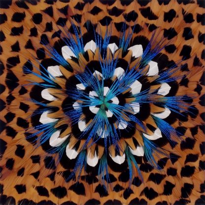 Tableau – Image 2