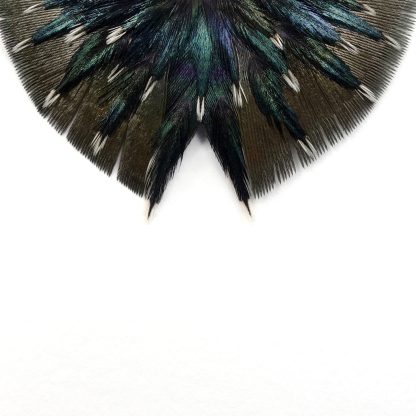 Collier Serie butterfly feather – Image 2