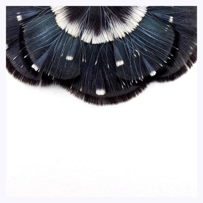 Collier – Image 2