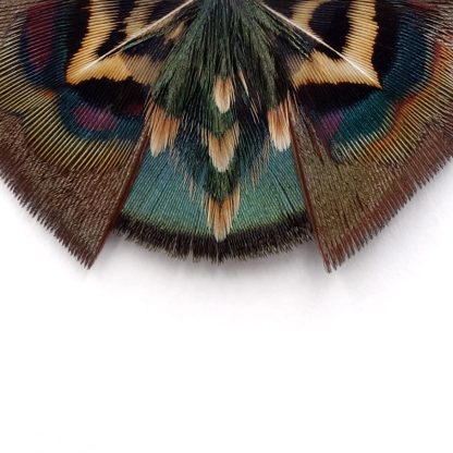 Collier Serie butterfly feather – Image 2